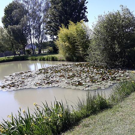 Comme à la maison prés des châteaux de la Loire Feings  Esterno foto