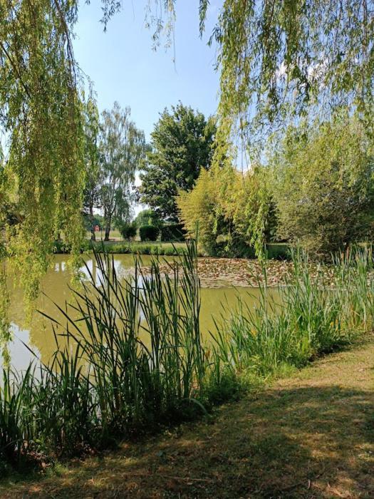 Comme à la maison prés des châteaux de la Loire Feings  Esterno foto