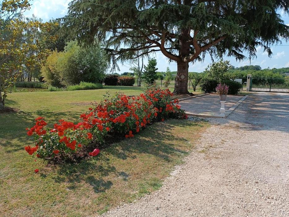 Comme à la maison prés des châteaux de la Loire Feings  Esterno foto