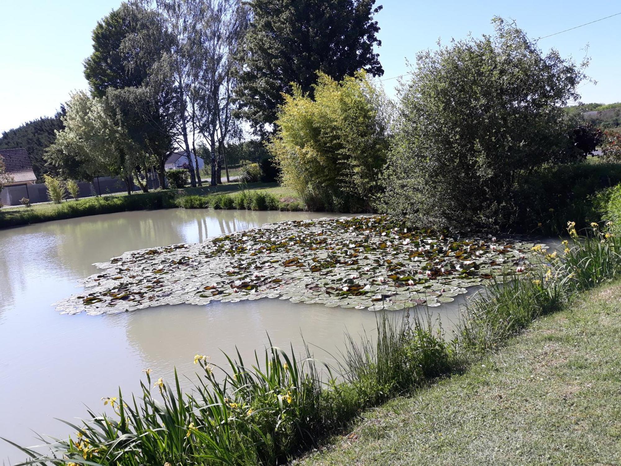 Comme à la maison prés des châteaux de la Loire Feings  Esterno foto